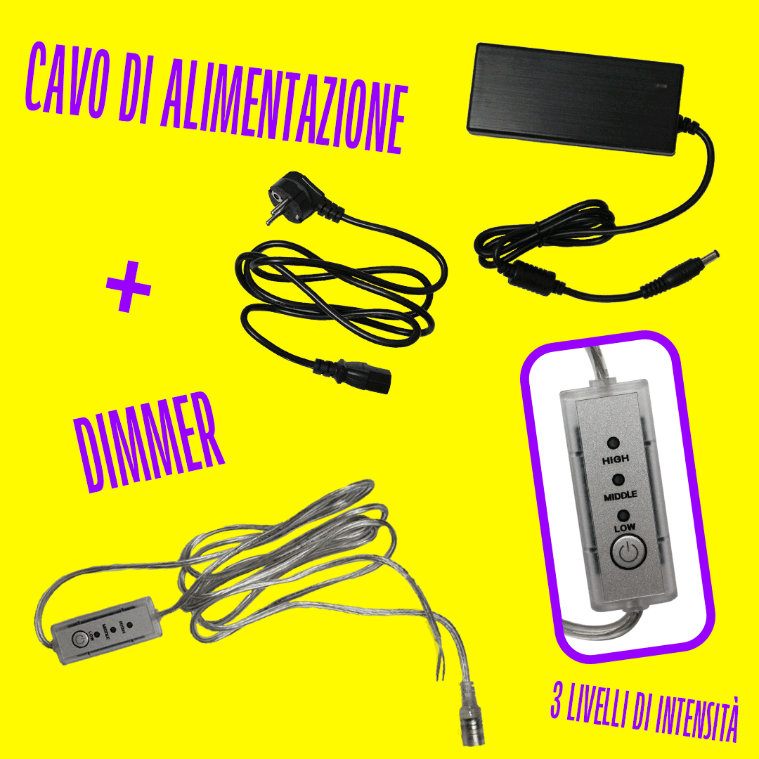 CUORE ANATOMICO