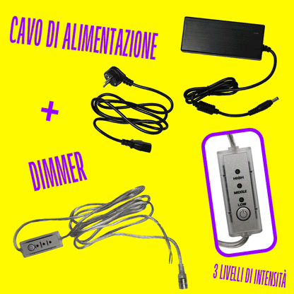 CUORE ANATOMICO